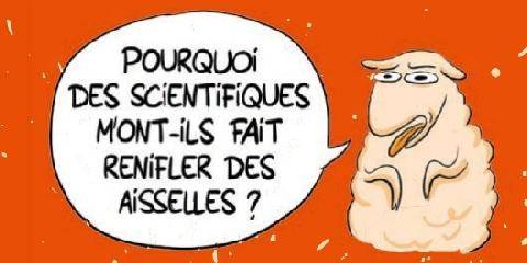 Science & Vie Junior 445 > FALLAIT PAS LES CHERCHER !
