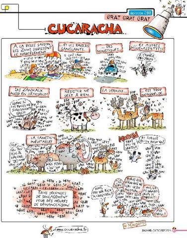 Science & Vie Junior 445 CUCARACHA