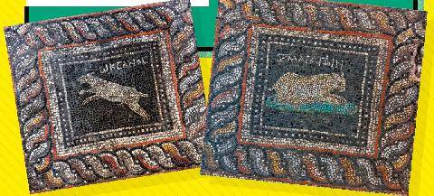 Science & Vie Junior 446 Mosaïques au poil !