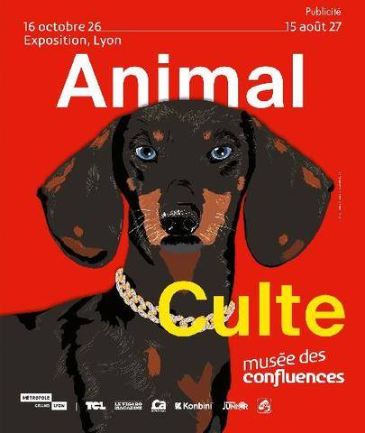 Science & Vie Junior 446 