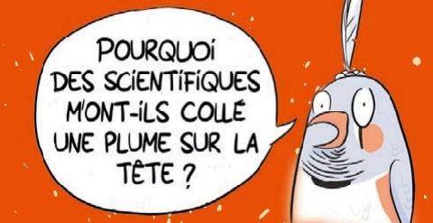 Science & Vie Junior 446 > FALLAIT PAS LES CHERCHER !