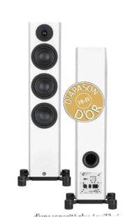 Diapason 747 SYSTEM AUDIO LEGEND 40.2 SILVERBACK DS