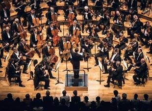 Diapason 748 Petrenko l'alchimiste