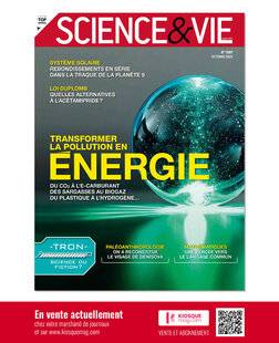 Diapason 748 SCIENCE & VIE