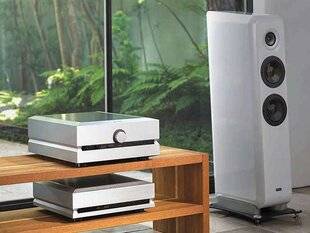 Diapason 752 1. TAD TAD-A1000 & TAD-E1AX