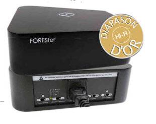 Diapason 755 SILENT ANGEL Forester FPC