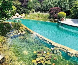 Maison & Travaux 319 Créer une baignade au naturel