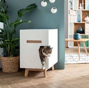 Maison & Travaux 320 Design