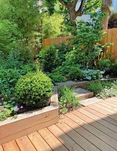 Maison & Travaux 320 Le brise-vue ou comment se protéger des regards