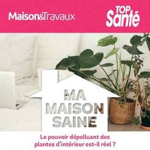 Maison & Travaux 320 Le pouvoir dépolluant des plantes d' intérieur est-il réel ?