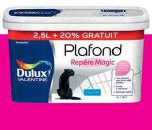 Maison & Travaux 340 Peinture abracadabra !