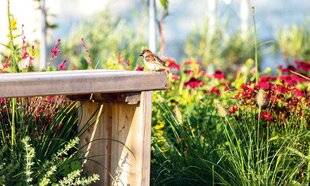 Maison & Travaux 344 NATURE et culture