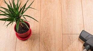 Maison & Travaux 346 J'entretiens MON PARQUET EN BOIS MASSIF