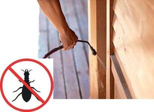 Maison & Travaux 346 TERMITES ET MÉRULE, un vide au regard des assurances