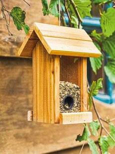 Maison & Travaux 347 LES OISEAUX