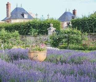 Maison & Travaux 350 SAVEURS ET SENTEURS d'un potager gourmand