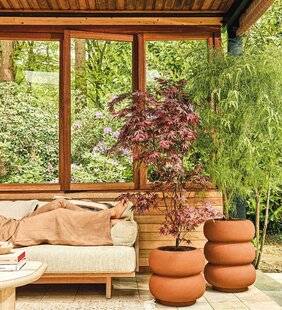Maison & Travaux 351 5. VÉGÉTALISER ET RAFRAÎCHIR : la nature au cœur des extérieurs