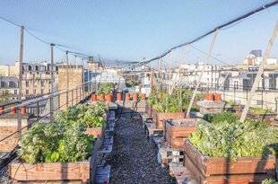Maison & Travaux 352 DES CITÉS plus vertes...