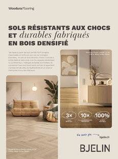 Maison & Travaux 353 BJELIN