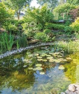 Maison & Travaux 356 N'en jetez PLUS…