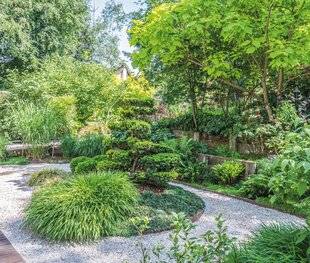 Maison & Travaux 356 UN CAMÉLÉON de verdure