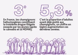 Hors-Séries 289 LES HALLUCINOGÈNES