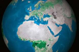 Hors-Séries 312 Combien y a-t-il d'arbres dans le monde ?