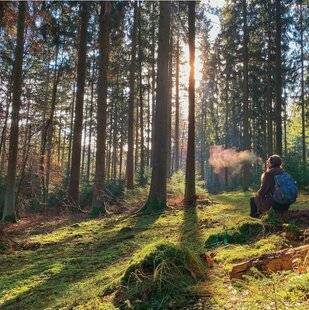 Hors-Séries 312 “En forêt, ce qui nous entoure fait partie de nous”