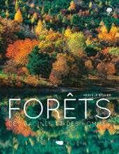 Hors-Séries 312 FORÊTS, DES RACINES ET DES HOMMES