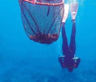 Hors-Séries 323 5 mutations qui ont transformé l'humanité