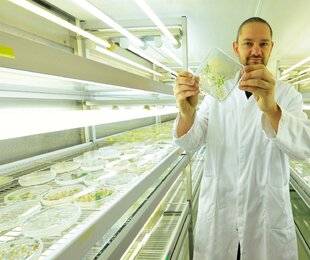 Hors-Séries 323 Mutations, transferts de gènes… Comment le vivant évolue