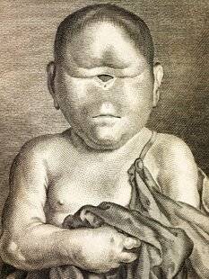 Hors-Séries 323 Un cabinet de curiosités