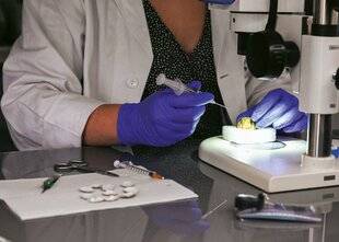 Hors-Séries 323 ÉTUDIER