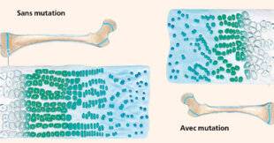 Hors-Séries 323 L'espoir en 3 pistes