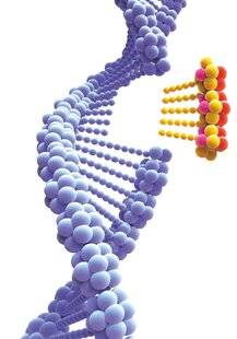 Hors-Séries 323 La révolution des ciseaux