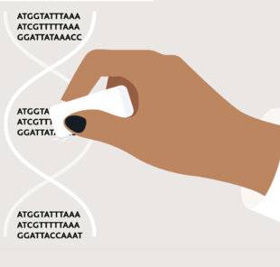 Hors-Séries 323 BASE EDITING, UNE GOMME MOLÉCULAIRE