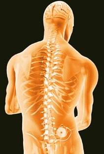 Hors-Séries 324 LA POMPE ANTIDOULEUR