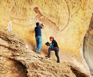 Hors-Séries 324 Qui a peint ce puma ?