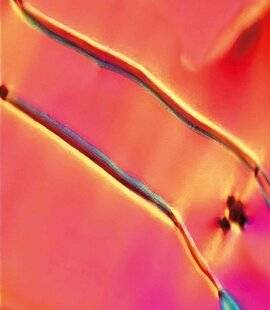 Hors-Séries 324 La matière peut-elle répéter son motif dans le temps ?