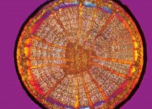 Hors-Séries 325 LE COMPTER