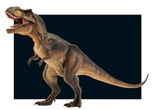 Hors-Séries 325 À quel âge les T-rex cessaient-ils de grandir ?