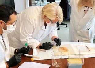 Hors-Séries 325 Peut-on authentifier une toile de maître grâce à l'ADN ?