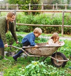 Pleine Vie 393 Bye bye, les pesticides !