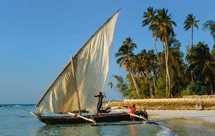 Pleine Vie 393 Zanzibar, au-delà du mythe