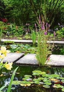 Pleine Vie 394 Plan d'eau, la biodiversité au rendez-vous
