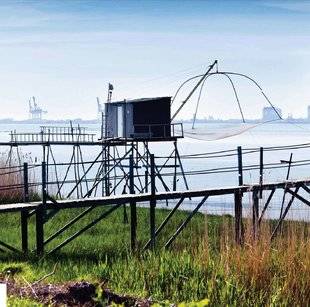 Pleine Vie 395 1 LE PLEIN D'ÉNERGIE DANS L'ESTUAIRE DE LA LOIRE