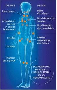 Pleine Vie 395 Retrouver le dialogue entre corps et cerveau