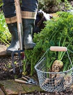 Pleine Vie 399 Un potager garni pour l'hiver