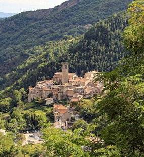 Pleine Vie 401 L'ARDÈCHE FÊTE LA CHÂTAIGNE