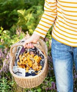 Pleine Vie 401 Délices et champignons